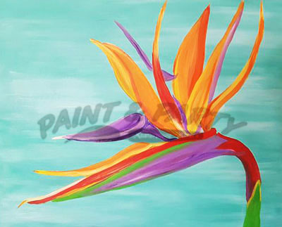 ‘Bird of Paradise Pinks’ Noon Special!